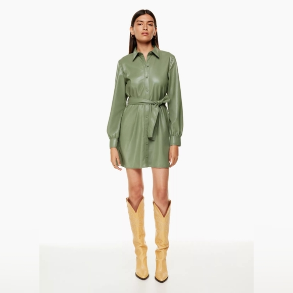 Aritzia Green Mini Dress - Picture 1 of 12